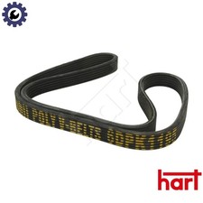 VRIBBED BELT 338 073 FOR SKODA OCTAVIA/Combi VW NEW/BEETLE/Convertible GOLF/IV