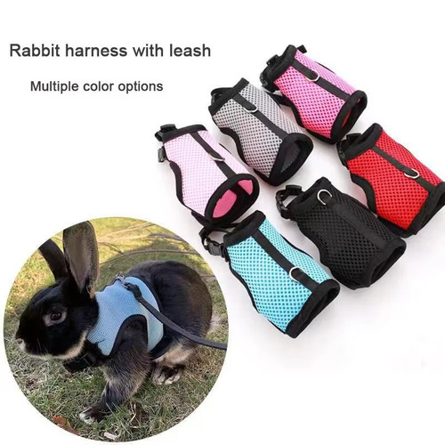 Harness with leash set - harness,