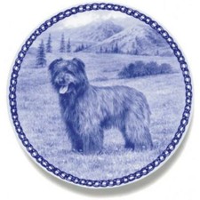 Pyrenean Shepherd Dog - Dog