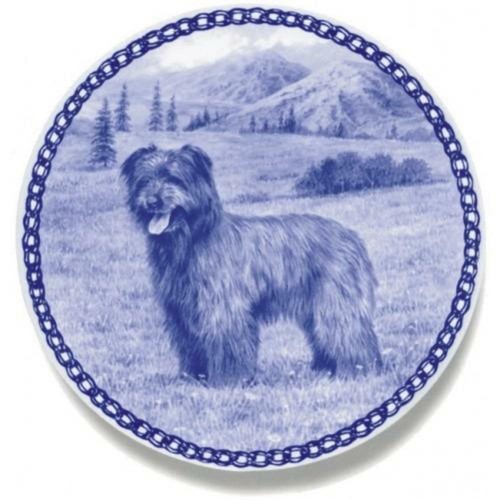 Pyrenean shepherd dog - pyrenean,