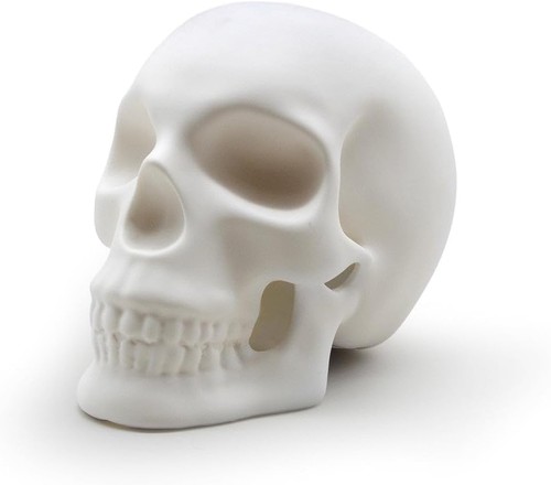 Skull light ceramic lifesize - skull,