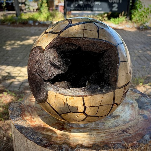 Natural septarian dragon - natural, "dragon