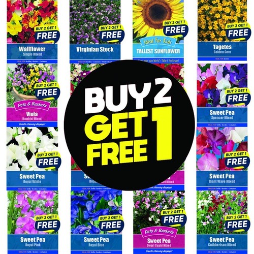 Flower seeds plants - flower, borders