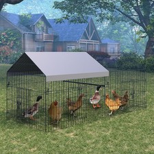 Metal Chicken Rabbit Duck Run