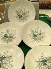 5 + 1 x Vtg  Washington Pottery 8.75” dessert plates  “Field Fare”  James Cooper