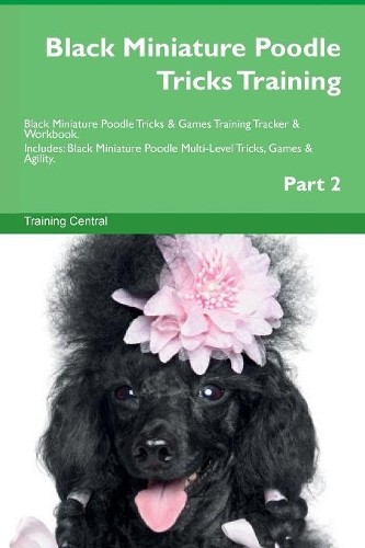 Black miniature poodle - black, tricks