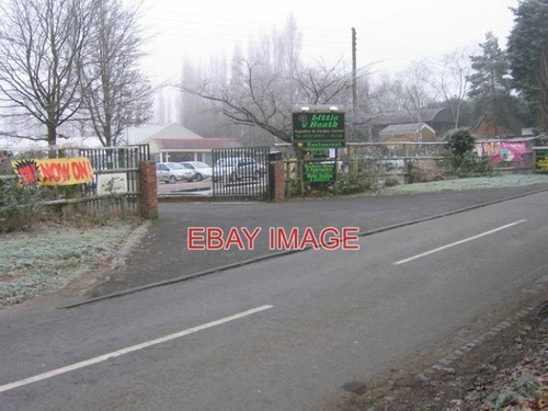 Photo little heath - , garden