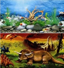 Aquarium fish tank background - fish,