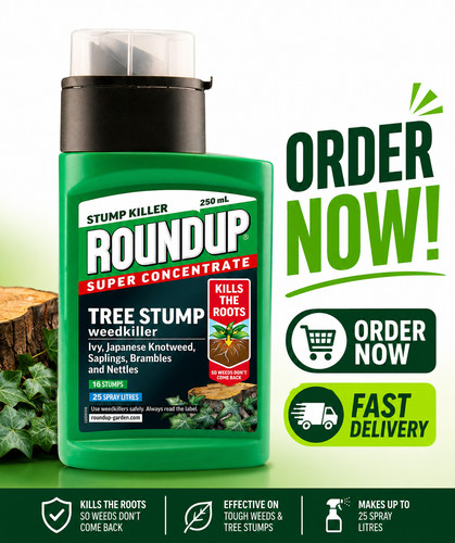 Tree stump killer - tree, root