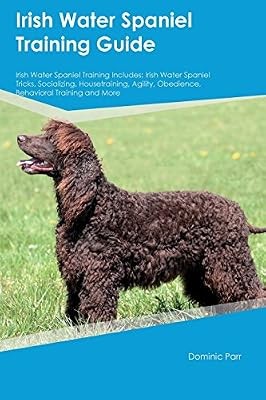 Irish water spaniel training - water,