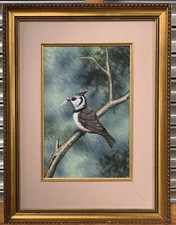 Beautiful Detailed Painting Of A Crested Tit Bird By Gordon C Turton