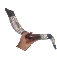 Shofar Kudu Horns 12 Tribes