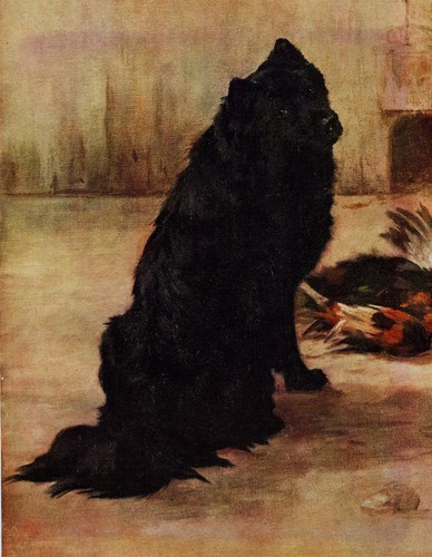 Chow vintage 1934 - chow,