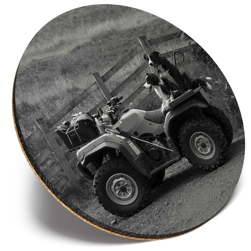 Round single coaster - coaster,