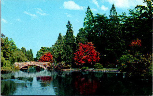 Postcard goodacre lake - goodacre, in