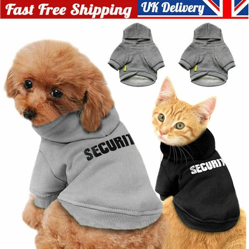 Pet dog cat - dog,