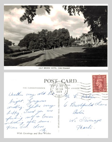 Vintage postcard lilly brook - postcard,