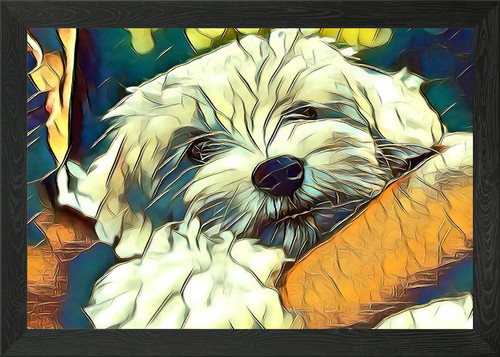 Maltese puppy glassy dog - maltese,