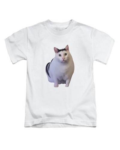 Huh cat meme - , adult