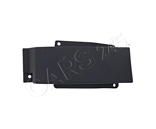 Left molding trim for iveco - molding,