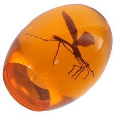 Amber Paperweights Mosquito Ornament Desk Accessories  Home Decor