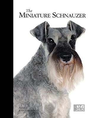 Miniature schnauzer best of - schnauzer,