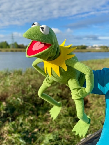 Kermit the frog muppet full - kermit,