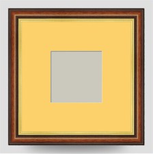 10x10 BROWN GOLD PICTURE PHOTO