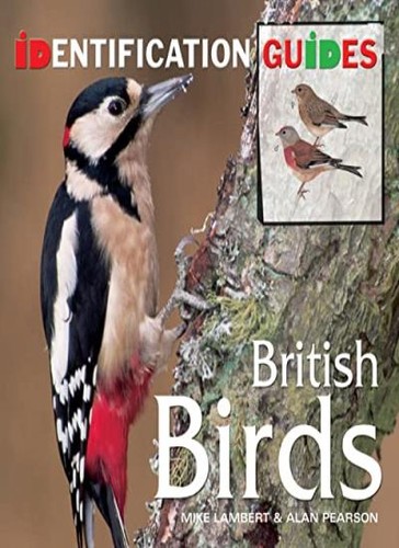 British birds identification - british, birds: