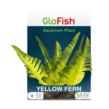 GloFish Yellow Fern Plant