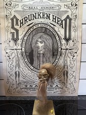 Shrunken head hand made ecuador, animal skin and hair on stand Tsantsa No3a 