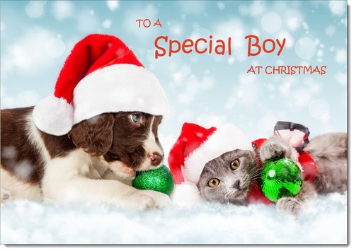 Doodlecards special boy - doodlecards,