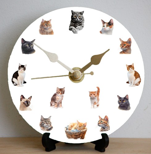 Cats clock diy - diy,