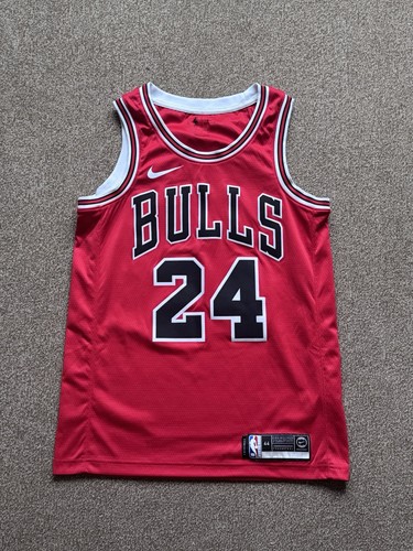 Nike nba chicago bulls - chicago,