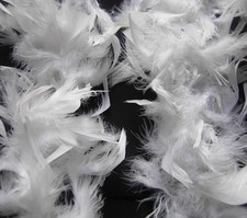 2M Feather Boa Hen Party