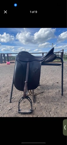 Farrington brown dressage - farrington,