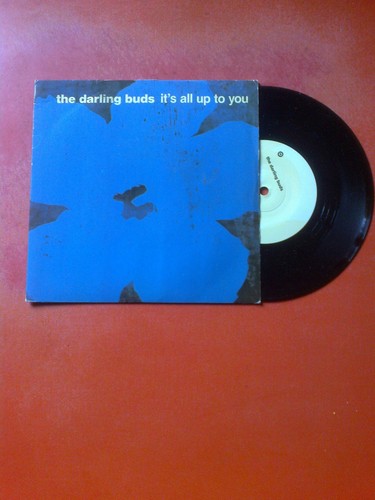 Darling buds all up to - buds,