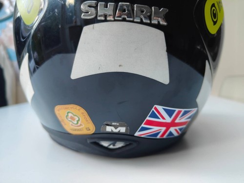 Shark ridill blank - blank, face