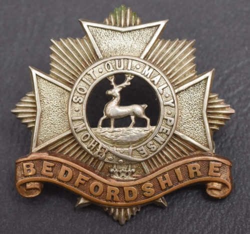 Bedfordshire regiment bi - ~,