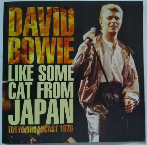 David bowie like some - some, cat
