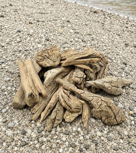 Snake river driftwood - river,