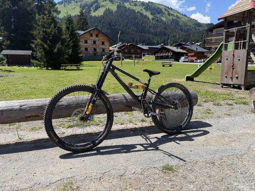 Starling cycles sturn dh - sturn, v2