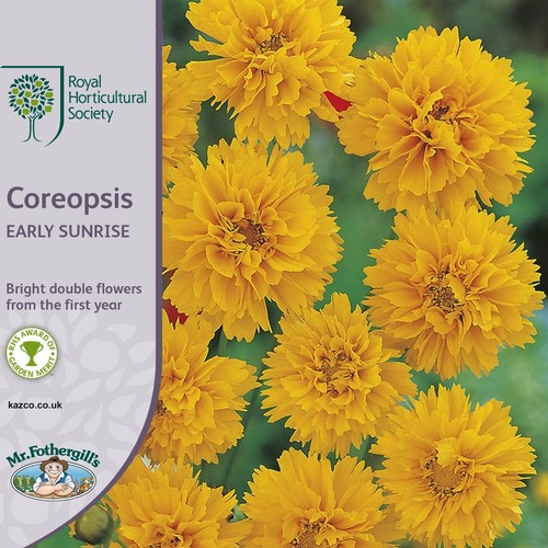 Rhs coreopsis seeds - rhs,