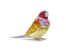 SWAROVSKI SCS GOULDIAN FINCH