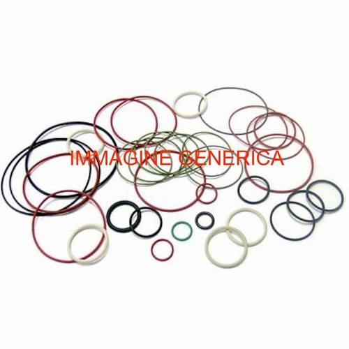 Exhaust ring gasket - exhaust,