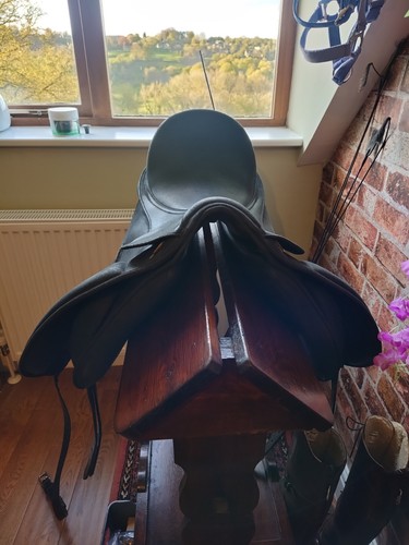Winter isabel saddle - saddle, dressage