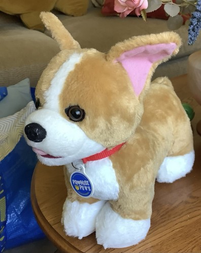 Build bear corgi - a,