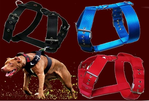 5cm wide nylon harness - nylon,
