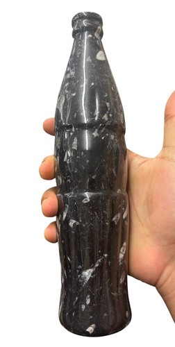 Orthoceras fossil coke - orthoceras,
