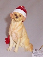 Country Artists Golden